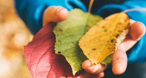 Exploring the Role of Outdoor Education in UK Schools: More Than Just PE